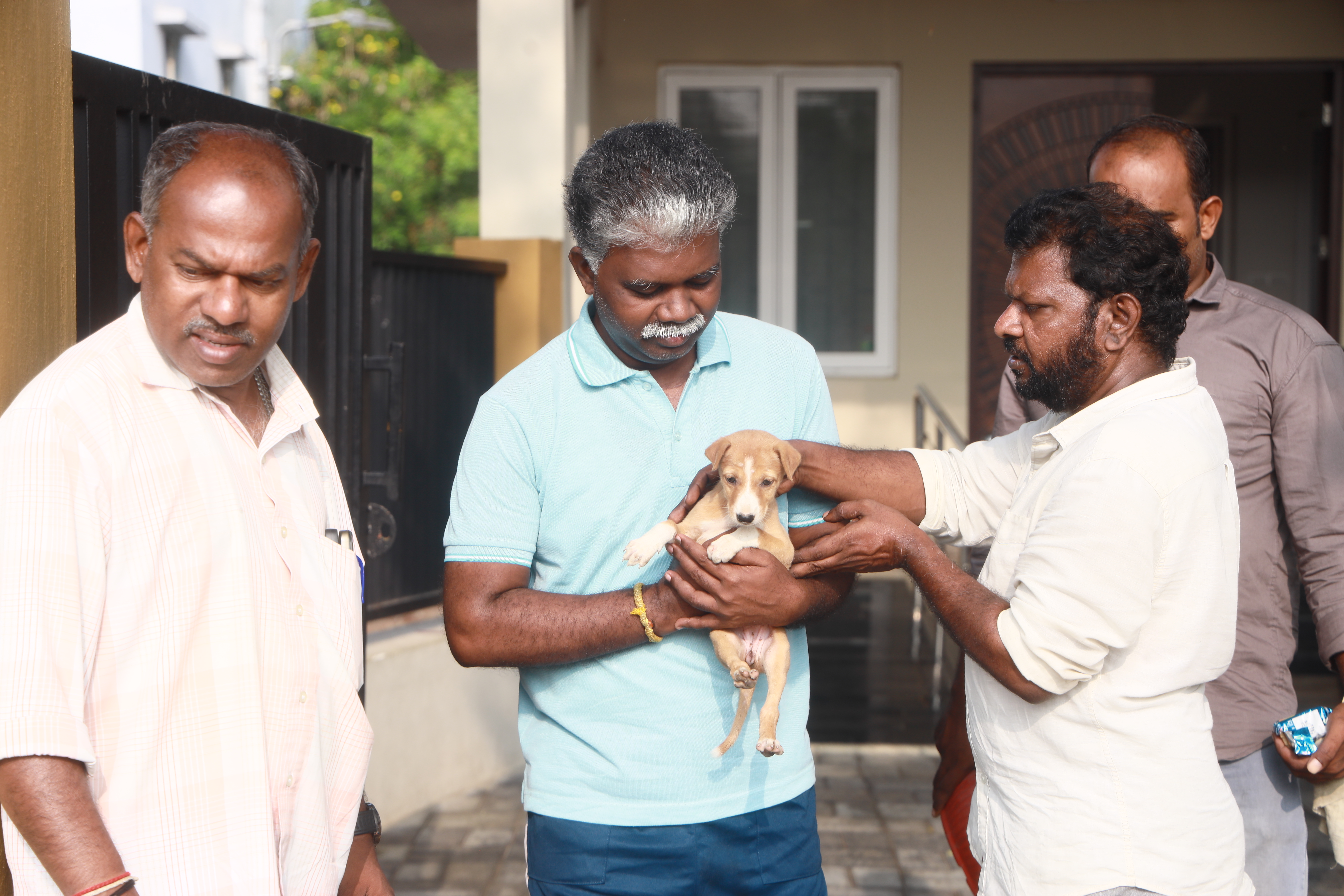 Lifeline gallery image showing a close moment of care between animals