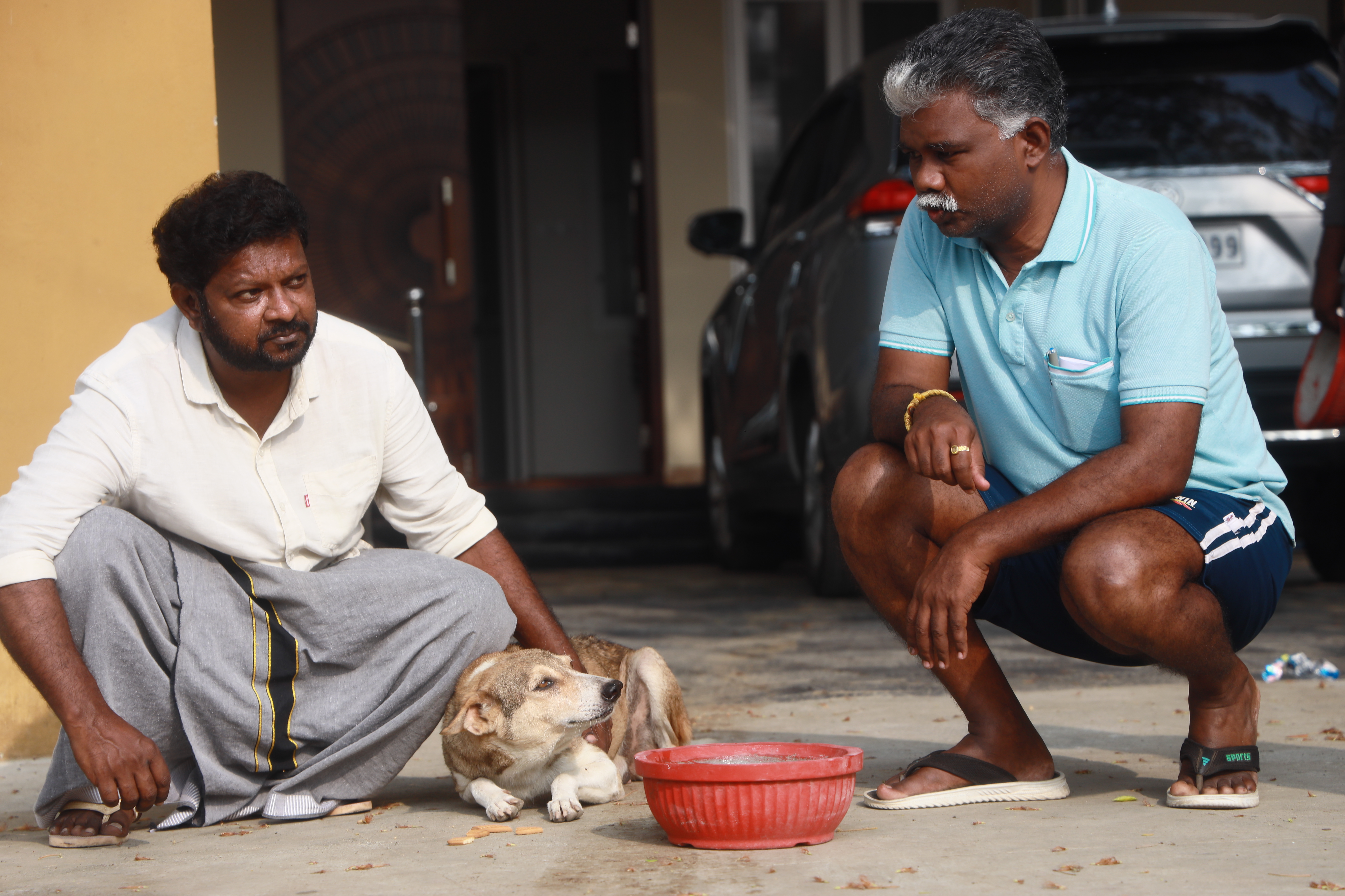 Lifeline Animal Welfare Society field photograph 02