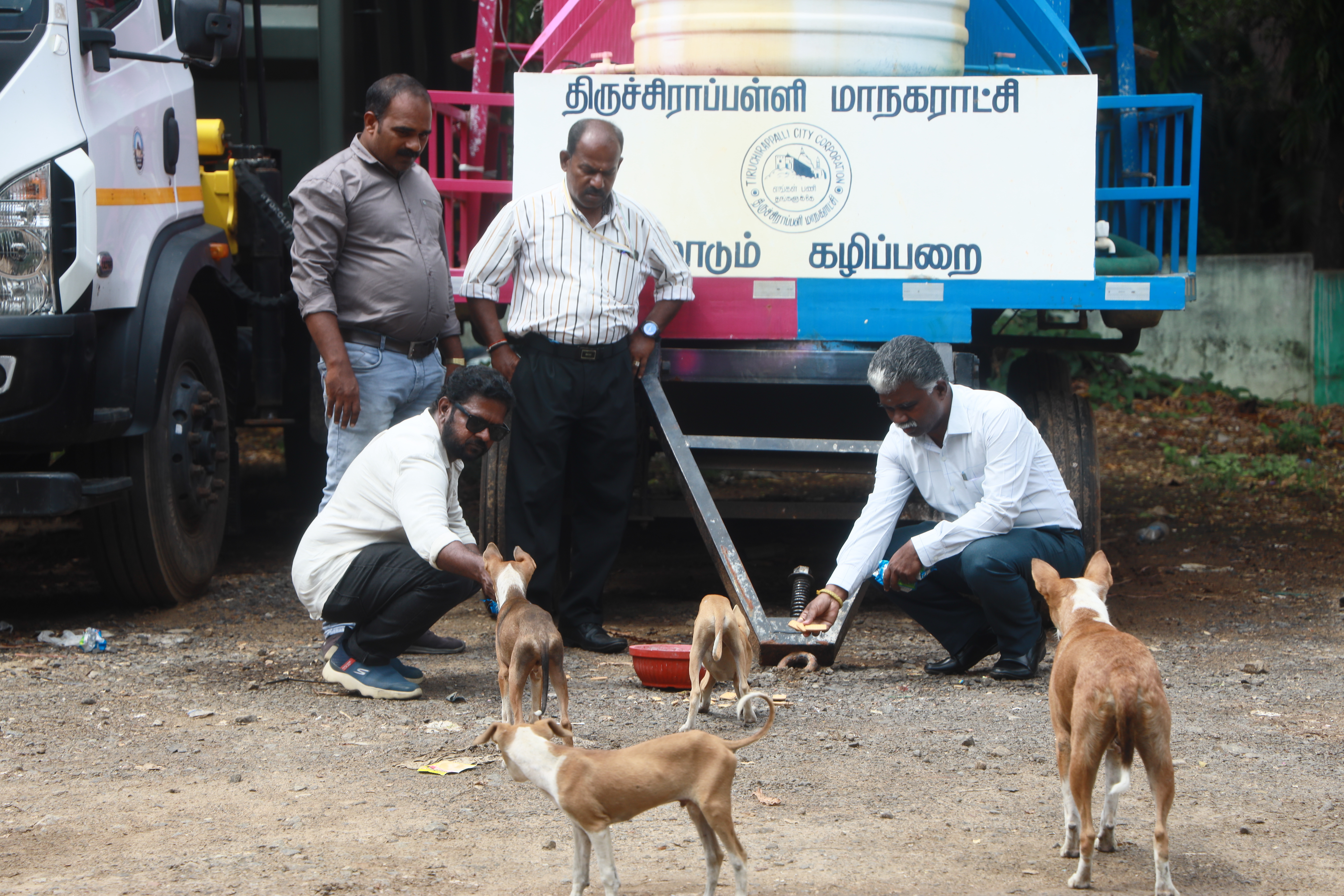 Lifeline Animal Welfare Society field photograph 03