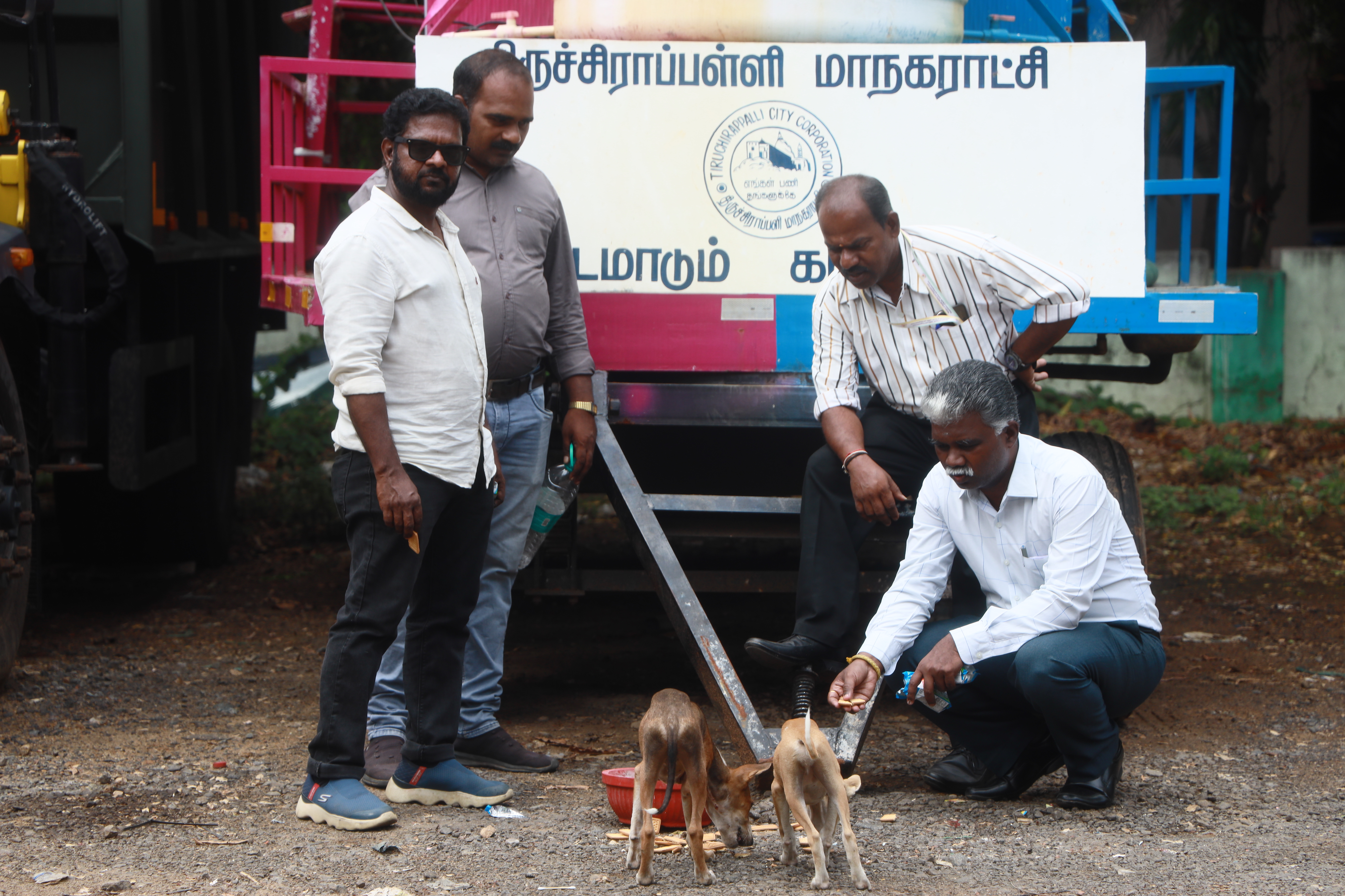 Lifeline Animal Welfare Society field photograph 04