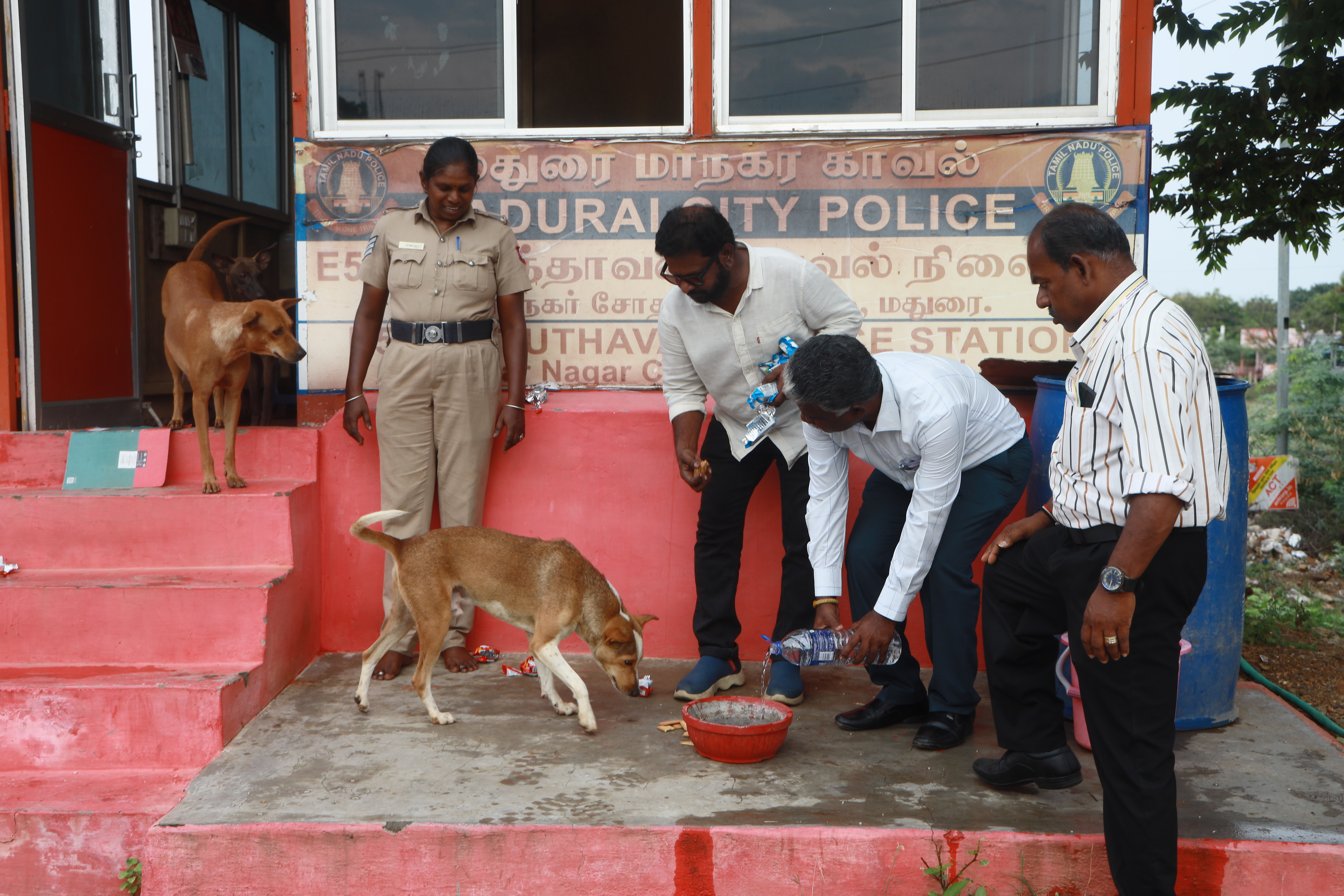 Lifeline Animal Welfare Society field photograph 05