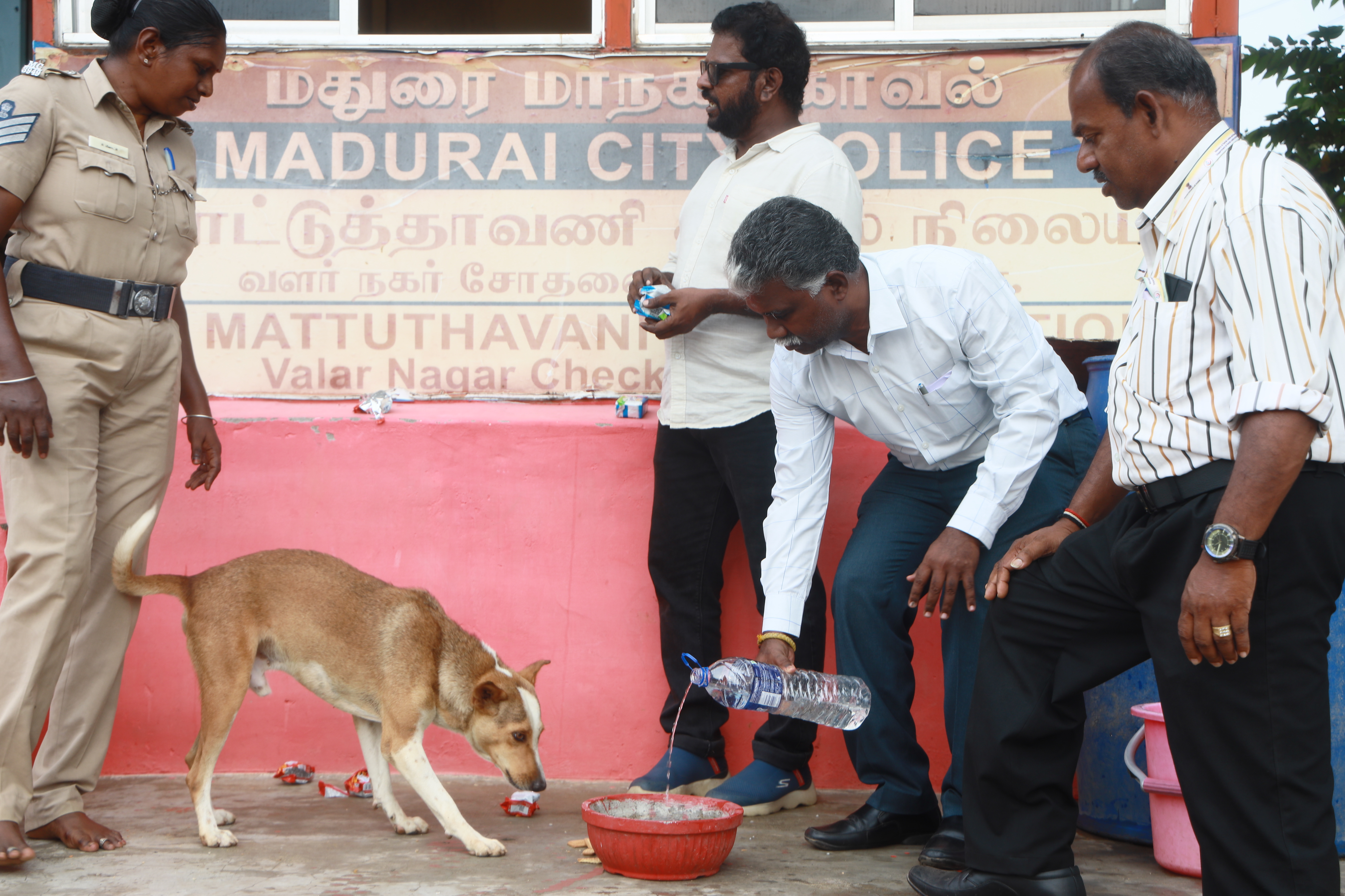 Lifeline Animal Welfare Society field photograph 06