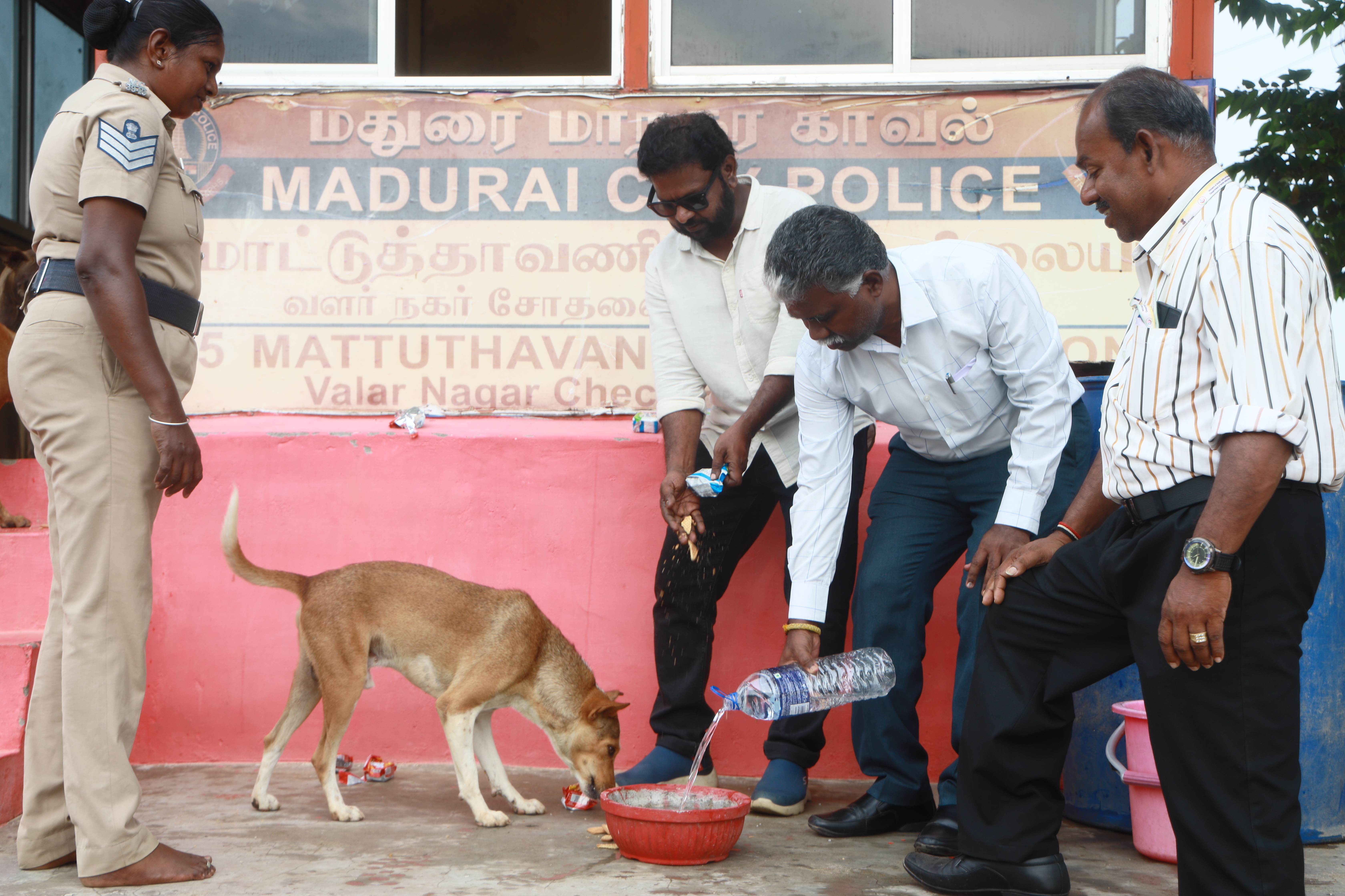 Lifeline Animal Welfare Society field photograph 07
