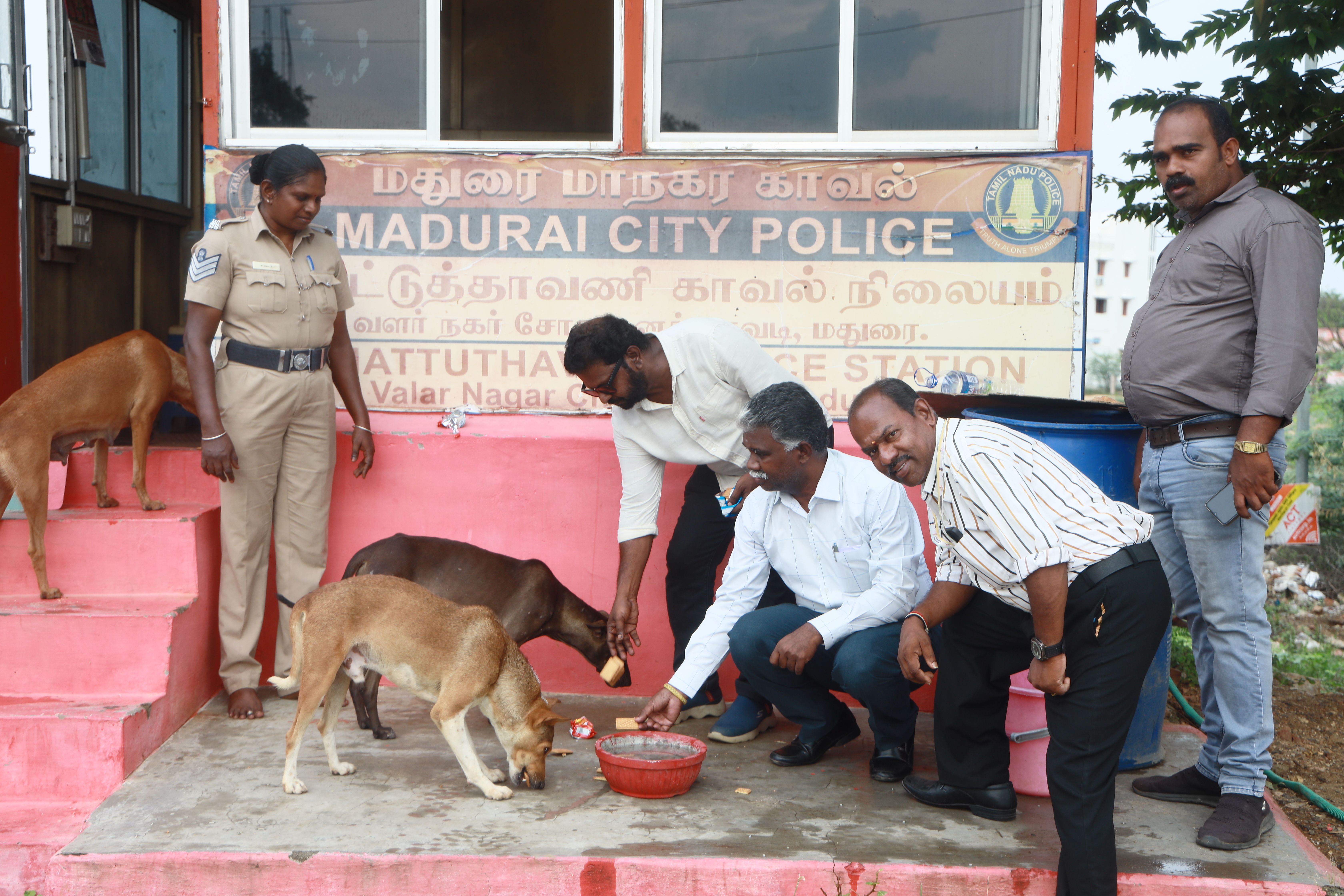 Lifeline Animal Welfare Society field photograph 08