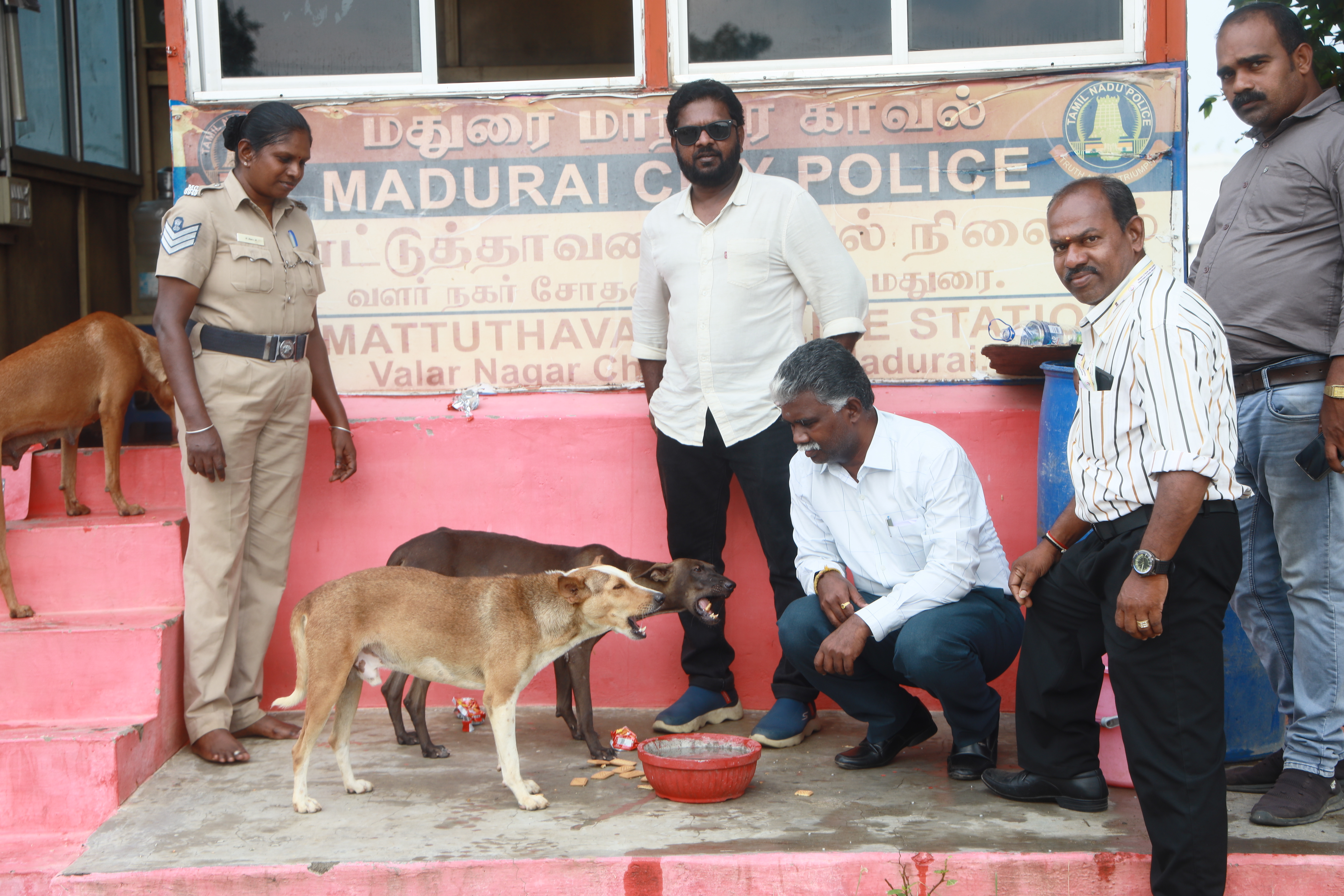 Lifeline Animal Welfare Society field photograph 09